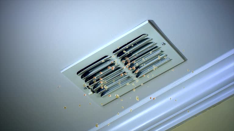 Best Residential Air Duct Cleaning  in Swartz, LA